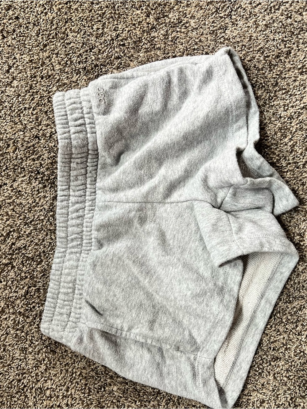 DSG Light Gray Kids Sweat Shorts